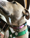 Token DOG TAG