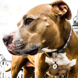Token DOG TAG w/ Custom ID